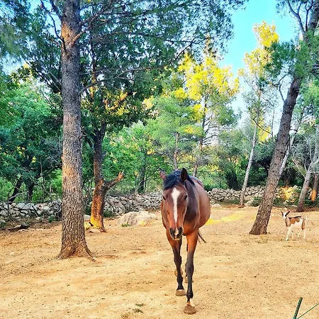 La Merion Villa